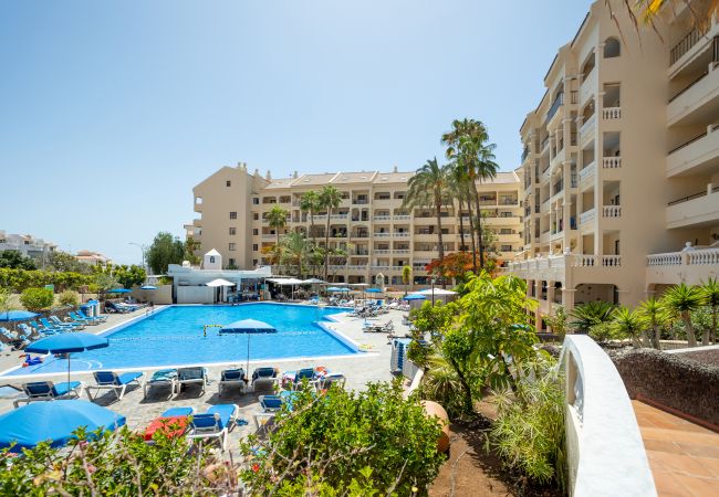 Apartamento en Los Cristianos - Castle Harbour Phoebe's Flat Los Cristianos by LoveTenerife Apartamento en Los Cristianos - Castle Harbour Phoebe's Flat Los Cristianos by LoveTenerife