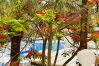 Apartamento en Los Cristianos - Castle Harbour Melanie's Flat Los Cristianos by LoveTenerife  Apartamento en Los Cristianos - Castle Harbour Melanie's Flat Los Cristianos by LoveTenerife