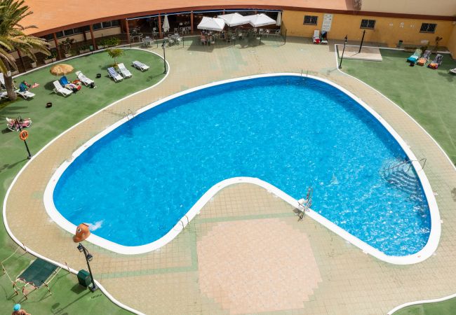 Apartamento en Los Cristianos - Family Home near Ocean Los Cristianos LoveTenerife (Love Tenerife) Apartamento en Los Cristianos - Family Home near Ocean Los Cristianos LoveTenerife (Love Tenerife)