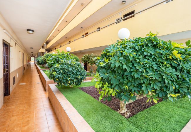 Apartamento en Los Cristianos - Family Home near Ocean Los Cristianos LoveTenerife (Love Tenerife) Apartamento en Los Cristianos - Family Home near Ocean Los Cristianos LoveTenerife (Love Tenerife)