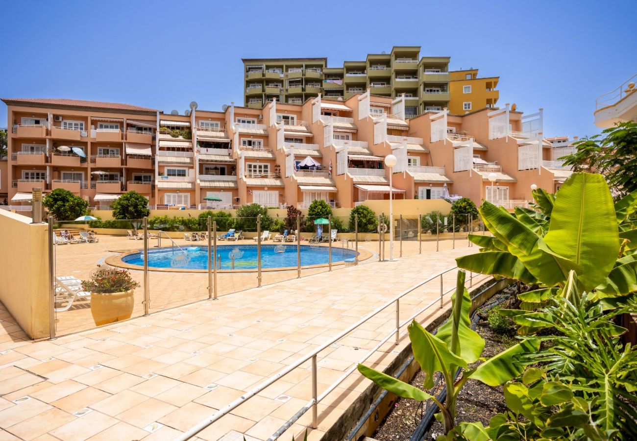 Apartamento en Adeje -  Costa Adeje Pool View Orlando Home by LoveTenerife (Love Tenerife)