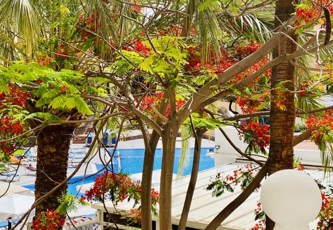 Apartment in Los Cristianos - Melanie's Flat Los Cristianos by LoveTenerife 