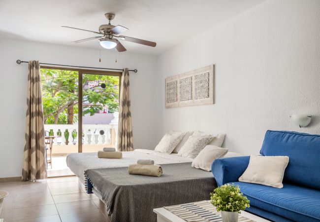 Studio in Los Cristianos - Castle Harbour Samuel's Studio Los Cristianos by LoveTenerife Studio in Los Cristianos - Castle Harbour Samuel's Studio Los Cristianos by LoveTenerife