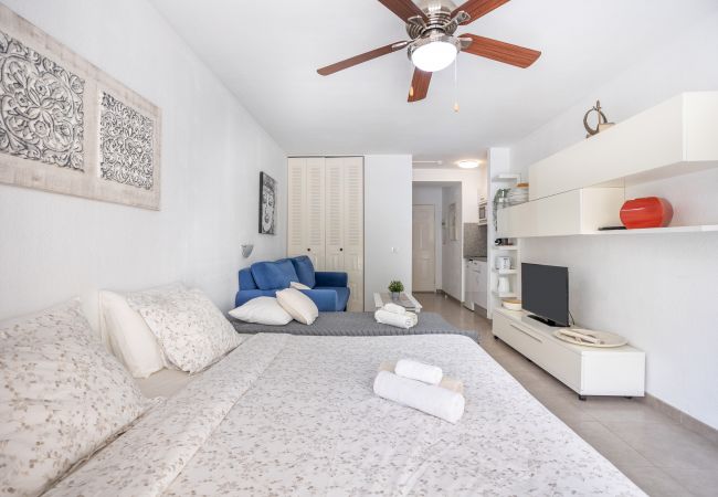 Studio in Los Cristianos - Castle Harbour Samuel's Studio Los Cristianos by LoveTenerife Studio in Los Cristianos - Castle Harbour Samuel's Studio Los Cristianos by LoveTenerife
