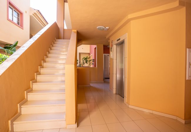 Apartment in Costa Adeje - AMAZING HOME SEA VIEW PLAYA DEL DUQUE Apartment in Costa Adeje - AMAZING HOME SEA VIEW PLAYA DEL DUQUE