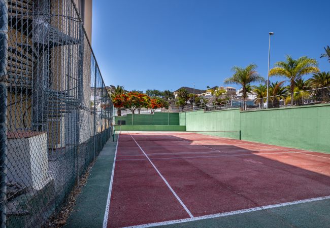 Studio in Los Cristianos - Castle Harbour Cozy Studio Heated Pool Los Cristianos LoveTenerife Studio in Los Cristianos - Castle Harbour Cozy Studio Heated Pool Los Cristianos LoveTenerife